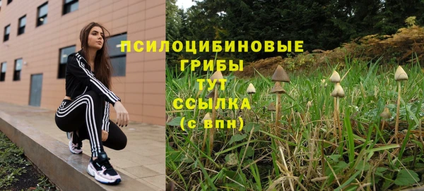 молекула духа Алексин