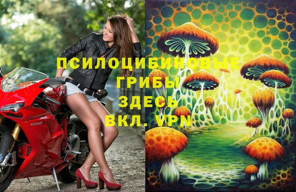крисы Алексеевка