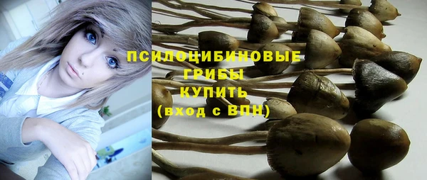героин Алзамай