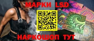 гидропоника Пугачёв