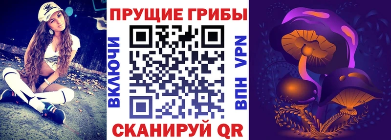 Псилоцибиновые грибы GOLDEN TEACHER Усть-Лабинск