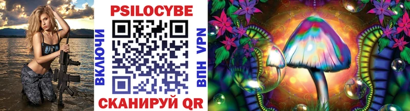 Псилоцибиновые грибы Psilocybe  купить закладку  Усть-Лабинск 