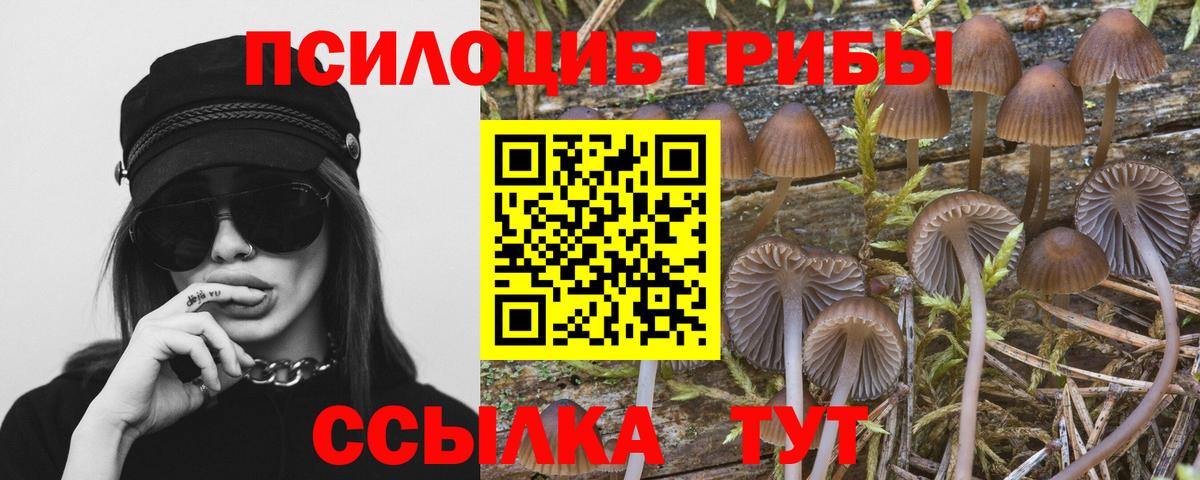 Псилоцибиновые грибы Magic Shrooms Усть-Лабинск