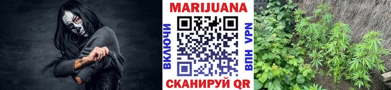 Конопля Ganja Усть-Лабинск